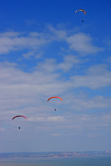 paragliders