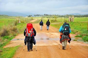 Obraz premium Couple of pilgrims on the Camino de Santiago, Spain