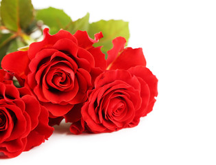 Bouquet of wonderful red roses isolated on white