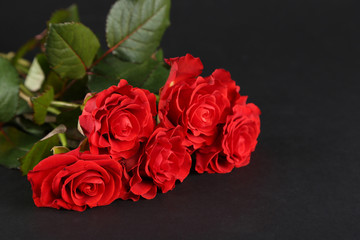 Bouquet of wonderful red roses on dark background