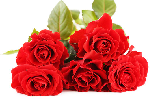 Bouquet of wonderful red roses isolated on white
