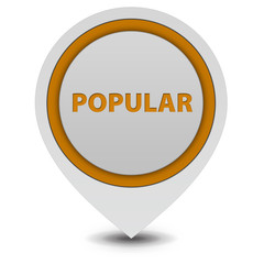 Popular pointer icon on white background