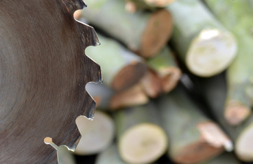 Saw and Wood Detail