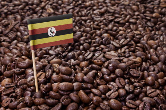 Flag Of Uganda Sticking In Coffee Beans.(series)