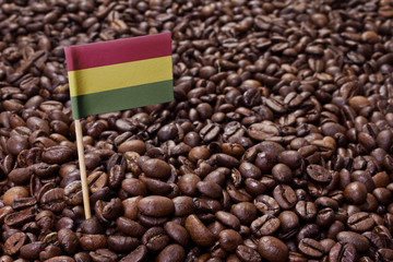 Flag of Bolivia sticking in coffee beans.(series)