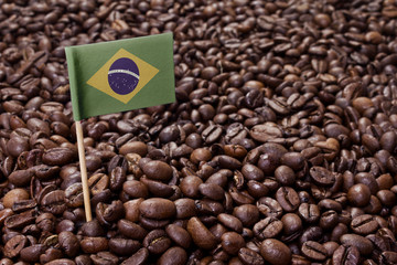 Flag of Brazil sticking in coffee beans.(series)