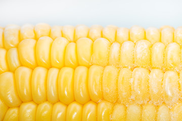 Frozen Corn. Macro. Sloseup. White background.