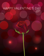 Rose with blur background Illustration