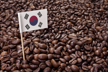 Flag of South Korea sticking in coffee beans.(series)