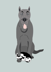 Big dog and little kitten