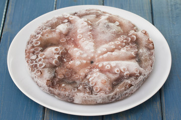 frozen octopus on white plate