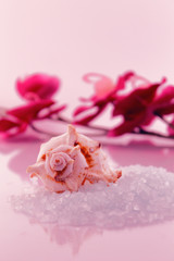 Bath salts and sea snail
