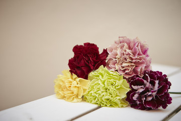 Carnations