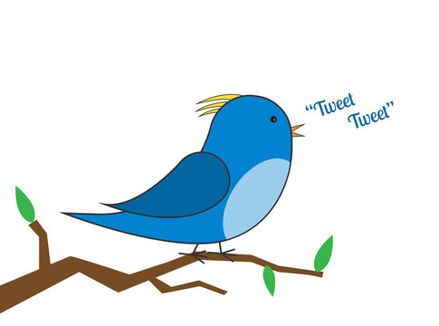 blue and yellow bird on a branch tweeting vector