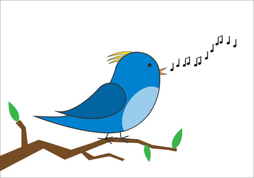 blue and yellow bird on a branch singing vector