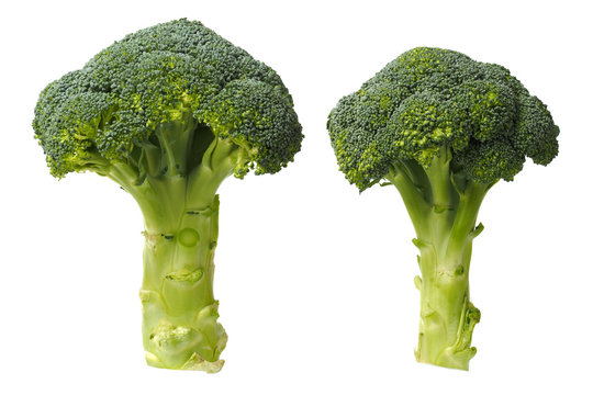 Two broccoli on white