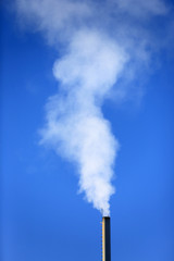 Flue and smoke
