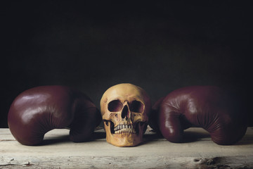 Boxing Gloves with human Skull laying on wooden Planks
