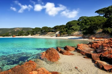 Cercles muraux Plage de Palombaggia, Corse plage