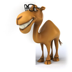 Fun camel