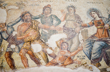 Fototapeta na wymiar Ancient Greek mosaic in Paphos Archaeological Park