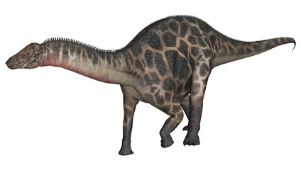 Obraz na płótnie Canvas Dinosaur Dicraeosaurus