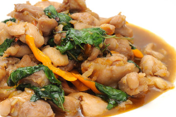 Thai Spicy Food