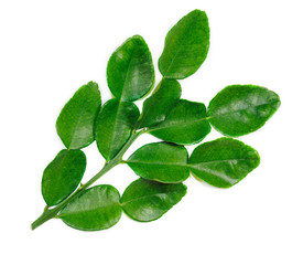 Thai food ingredients