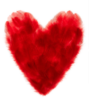 Valentines Heart shaped made of Red feathers