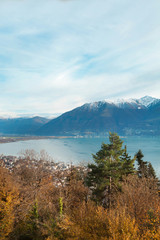 Fototapeta premium autumn landscape