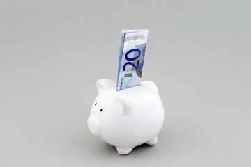 Sparschwein mit 20 Euro Schein