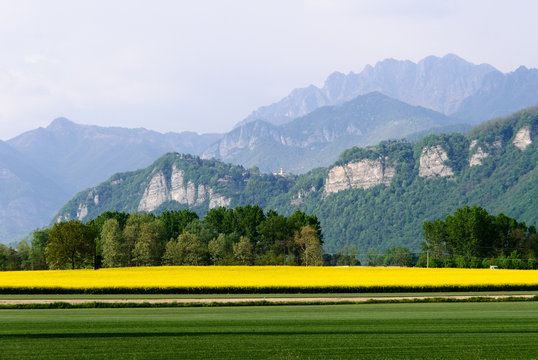 brivio