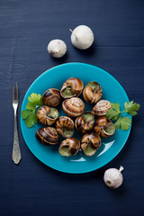 Baked snails with garlic butter and herbs on a dark blue surface
