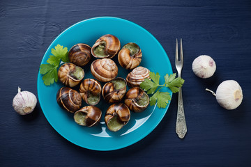 Glass plate with escargots de Bourgogne, dark blue background