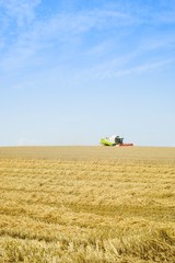 Obraz premium Mähdrescher bei der Ernte auf einem weiten Getreidefeld