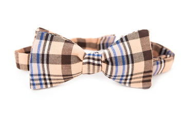 Bow tie business lady isolated on a white background. In a large