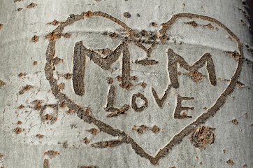 love graffiti on a tree