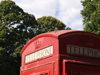 Top of red telephone box, tree background