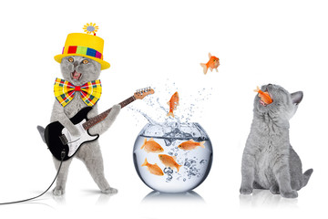 smart cat team concept