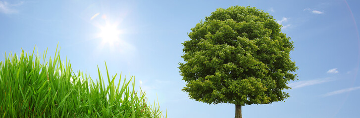 Obraz premium Natur Panorama