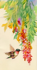 Drawing of colibri bird and flowers
