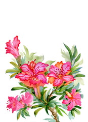 Obraz premium Bouquet of colorful wildflowers