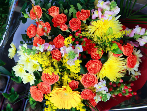 Bouquet of beautiful flowers