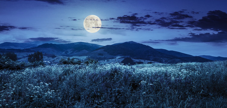 meadow with flowers in mountains at night