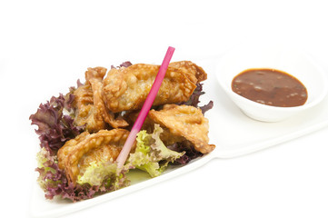 Japanese dumplings with lettuce on white background