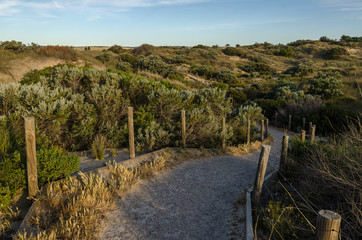 Fototapeta premium Fenced walkway through dunes