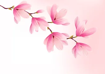 Foto op Canvas Valentine achtergrond met roze bloemen. Vector. © ecco
