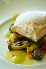 Salmon