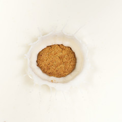 A single biscuit dropped into milk causing a splash.