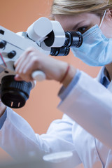 Dentistry using dental microscope